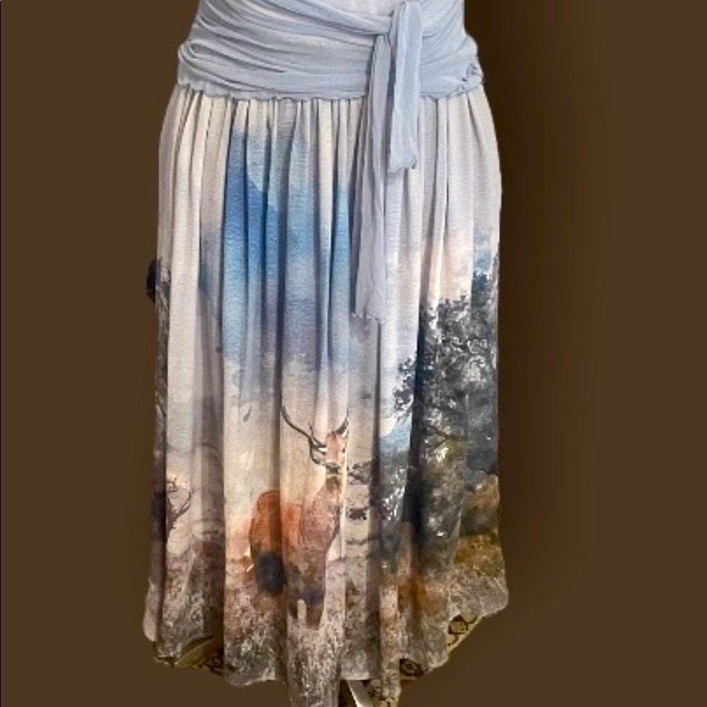 Aratta Graphic Skirt